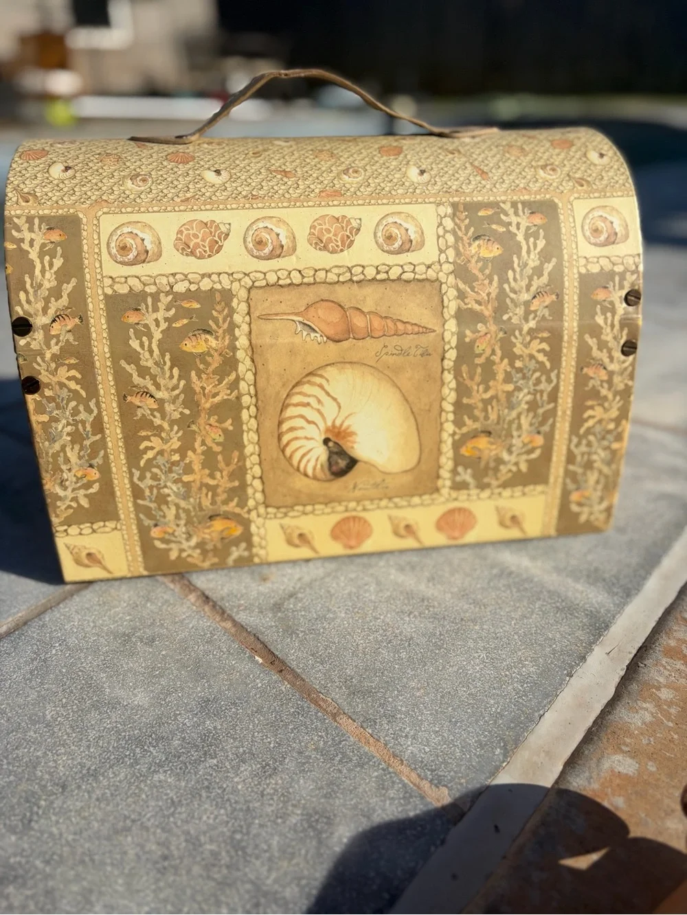 Seaside Shell Decorative Storage Chest Betty Whiteaker- Beige